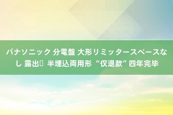 パナソニック 分電盤 大形リミッタースペースなし 露出・半埋込両用形 “仅退款”四年完毕