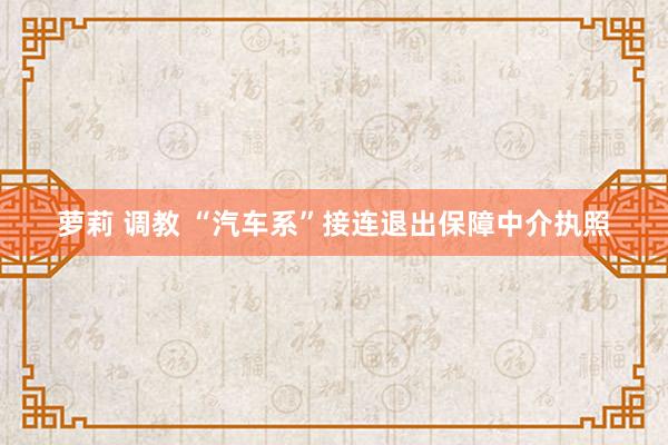 萝莉 调教 “汽车系”接连退出保障中介执照