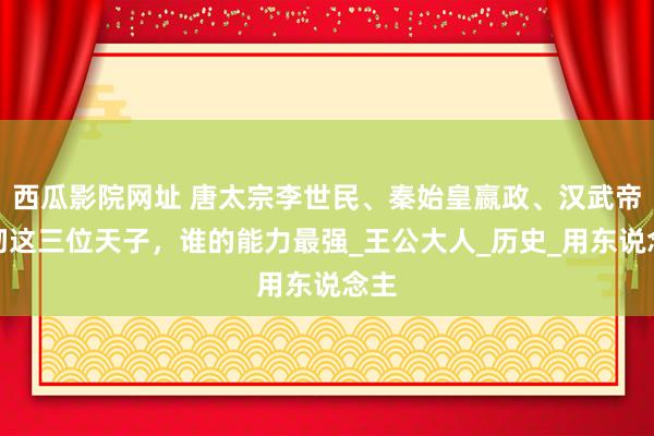 西瓜影院网址 唐太宗李世民、秦始皇嬴政、汉武帝刘彻这三位天子，谁的能力最强_王公大人_历史_用东说念主