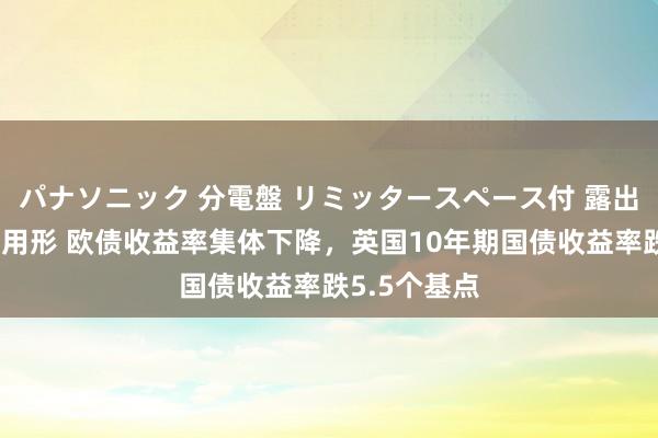 パナソニック 分電盤 リミッタースペース付 露出・半埋込両用形 欧债收益率集体下降，英国10年期国债收益率跌5.5个基点