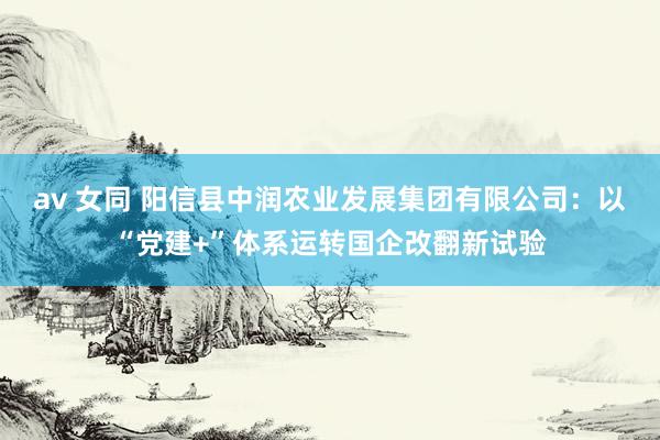 av 女同 阳信县中润农业发展集团有限公司：以“党建+”体系运转国企改翻新试验