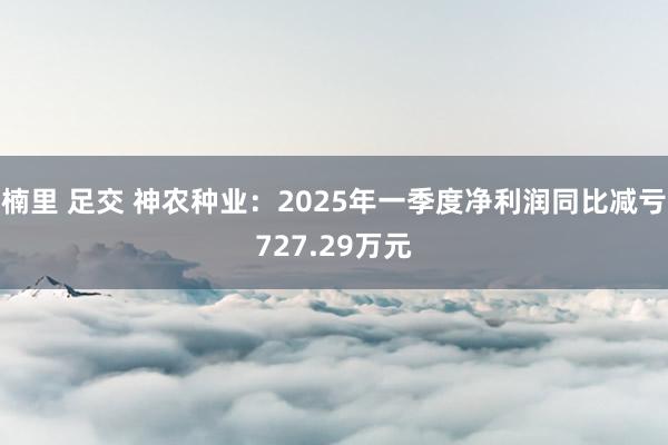 楠里 足交 神农种业：2025年一季度净利润同比减亏727.29万元