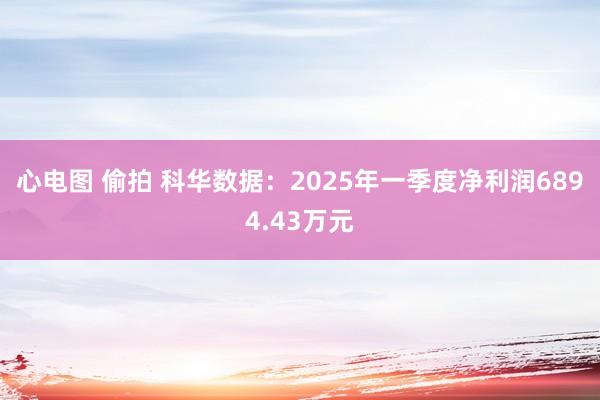 心电图 偷拍 科华数据：2025年一季度净利润6894.43万元