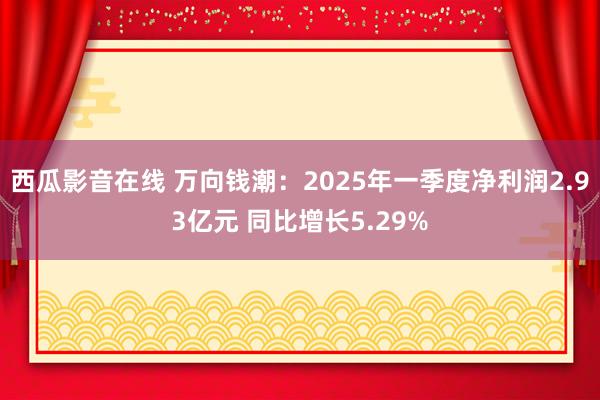 西瓜影音在线 万向钱潮：2025年一季度净利润2.93亿元 同比增长5.29%